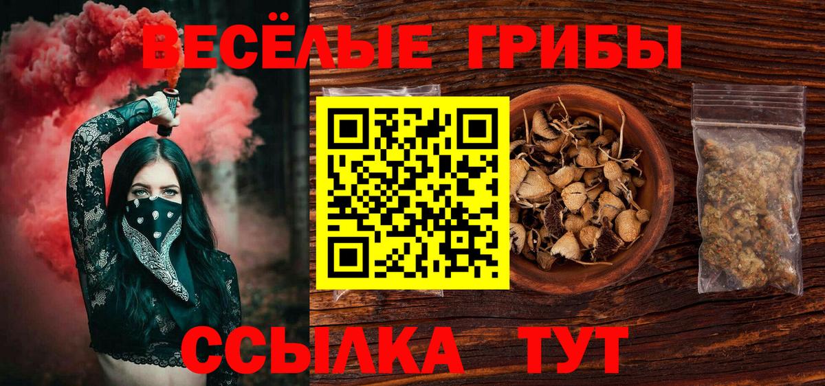 Галлюциногенные грибы GOLDEN TEACHER Магнитогорск