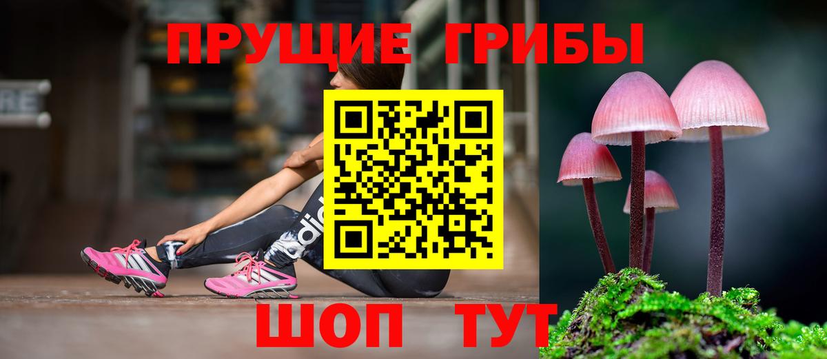 Галлюциногенные грибы прущие грибы  как найти закладки  Галлюциногенные грибы MAGIC MUSHROOMS  Магнитогорск  Вход с VPN 